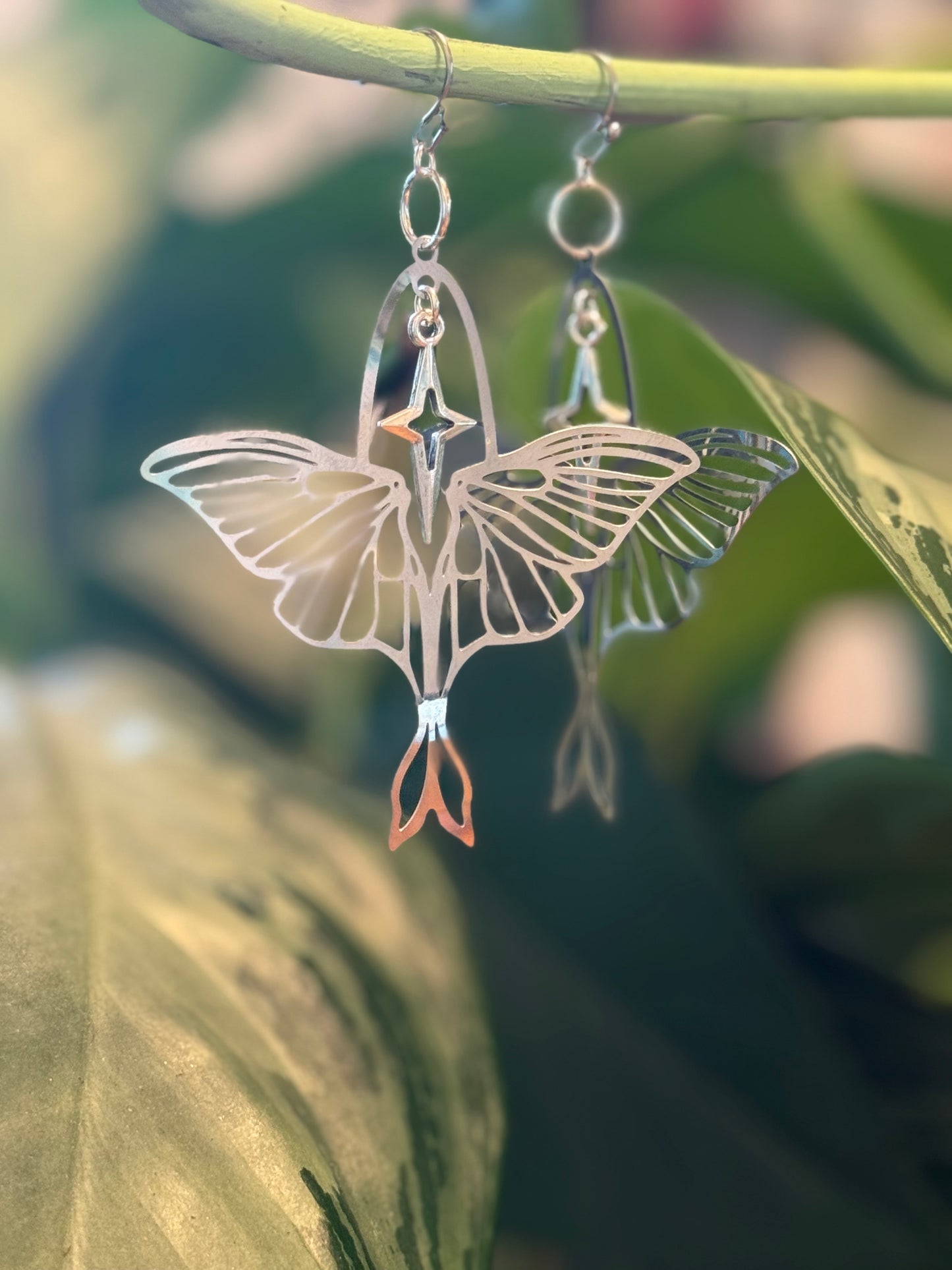 Moth and star silver earrings