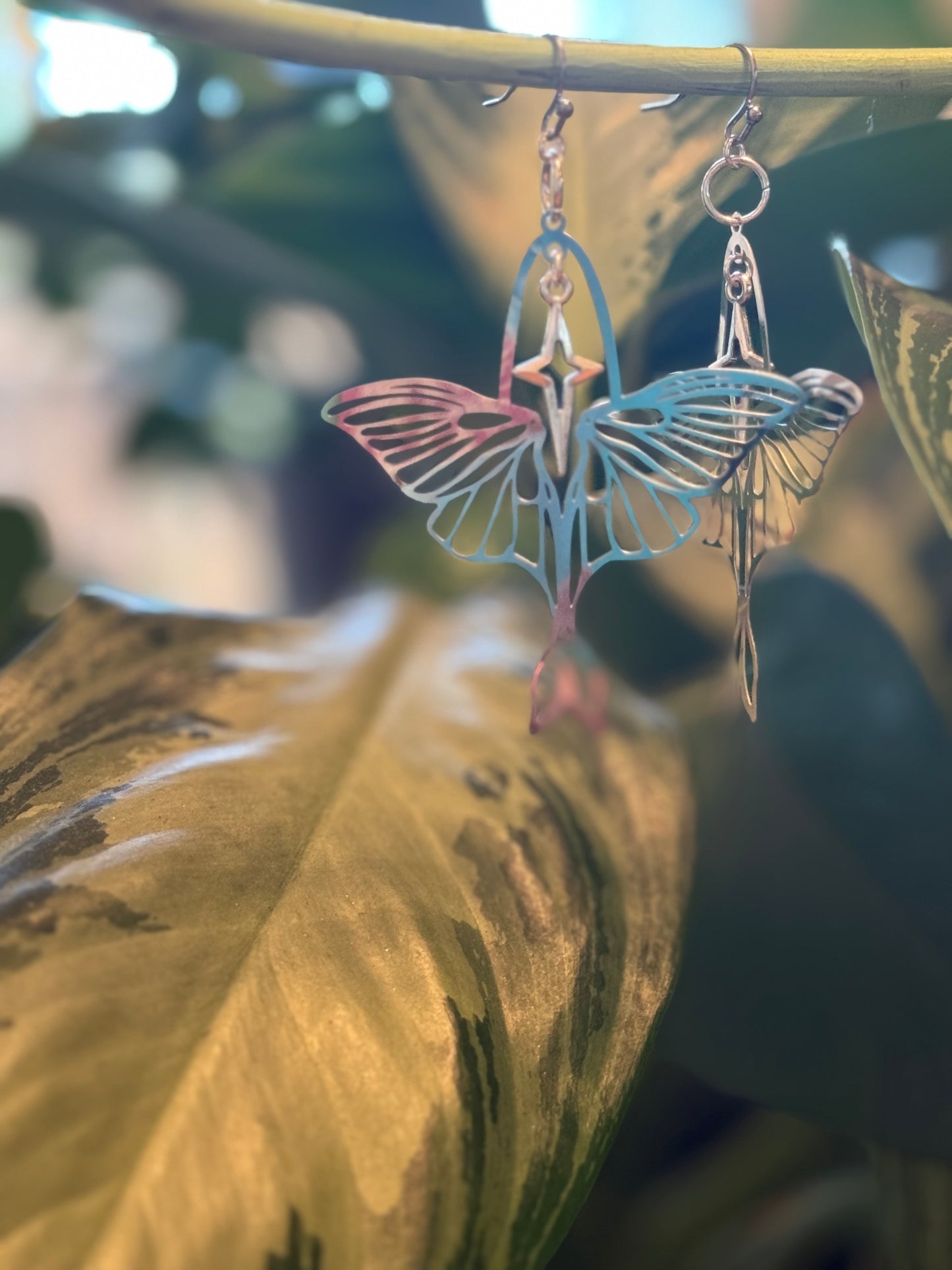 Moth and star silver earrings
