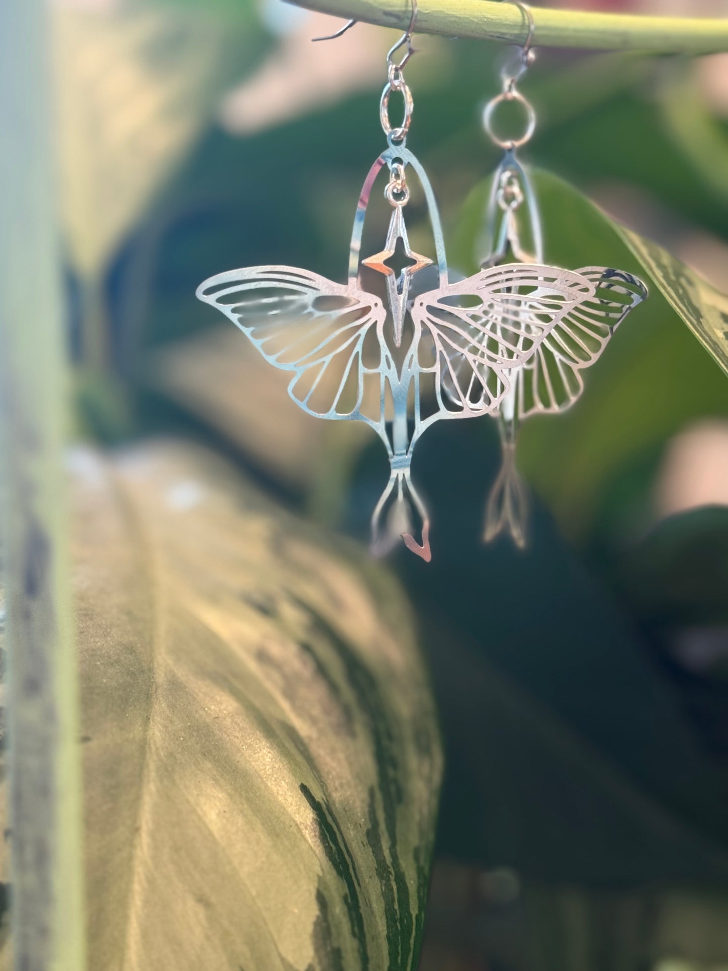 Moth and star silver earrings
